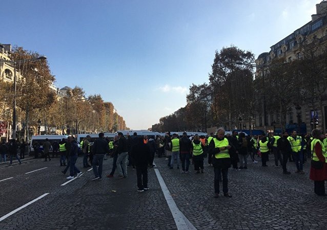 
Biểu tình Áo vàng tiếp tục rúng động nước Pháp. (Ảnh: Sputnik)
