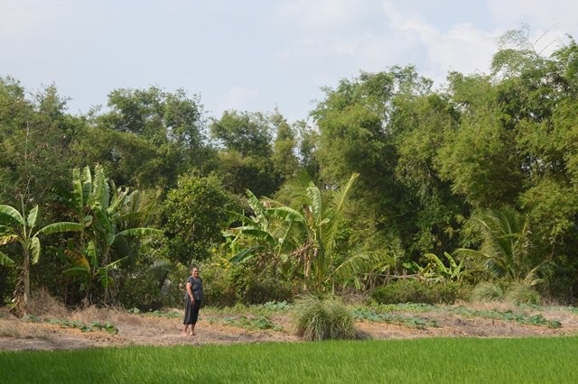 Bầy khỉ hoang đại náo làng quê - 1 Khu vực bầy khỉ sinh sống.