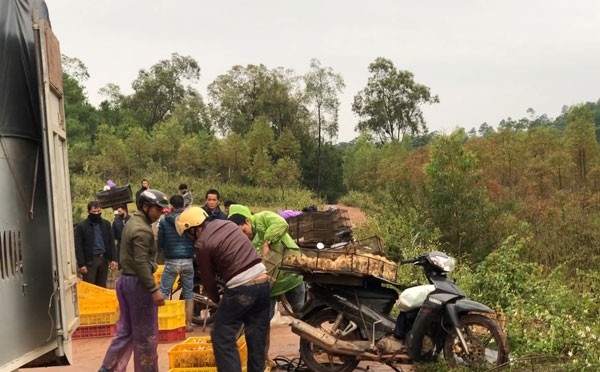Bộ trưởng Bộ Nông nghiệp cảnh báo nguy cơ cao xâm nhiễm các dịch bệnh nguy hiểm dịp Tết - Ảnh 1. Bộ trưởng Bộ Nông nghiệp cảnh báo nguy cơ cao xâm nhiễm các dịch bệnh nguy hiểm dịp Tết - Ảnh 1.
