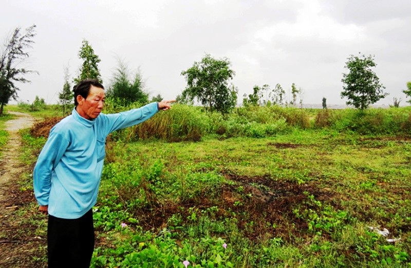 Quảng Bình: Một hộ dân kêu cứu vì bị phá hoại tài sản, hành hung và doạ giết - Ảnh 2. Quảng Bình: Một hộ dân kêu cứu vì bị phá hoại tài sản, hành hung và doạ giết - Ảnh 2.
