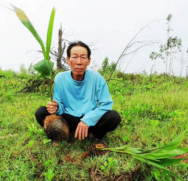 Quảng Bình: Một hộ dân kêu cứu vì bị phá hoại tài sản, hành hung và doạ giết - Ảnh 1. Quảng Bình: Một hộ dân kêu cứu vì bị phá hoại tài sản, hành hung và doạ giết - Ảnh 1.