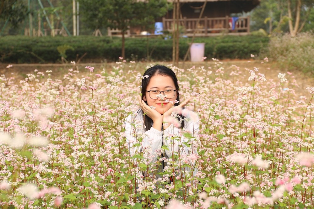 Vườn hoa tam giác mạch 5.000 m2 ở Hà Nội thu hút người tham quan - Ảnh 7. Vườn hoa tam giác mạch 5.000 m2 ở Hà Nội thu hút người tham quan - Ảnh 7.