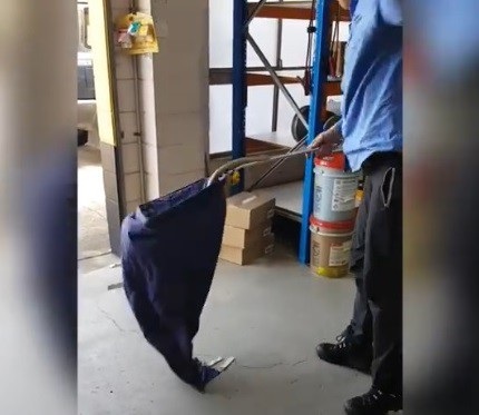 Thót tim khoảnh khắc chuyên gia bắt rắn suýt bị con rắn độc cắn trúng - Ảnh 1. Thót tim khoảnh khắc chuyên gia bắt rắn suýt bị con rắn độc cắn trúng - Ảnh 1.