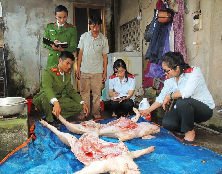 Thu mua lợn bệnh, ốm giá rẻ về giết mổ để bán kiếm lời - Ảnh 1. Thu mua lợn bệnh, ốm giá rẻ về giết mổ để bán kiếm lời - Ảnh 1.