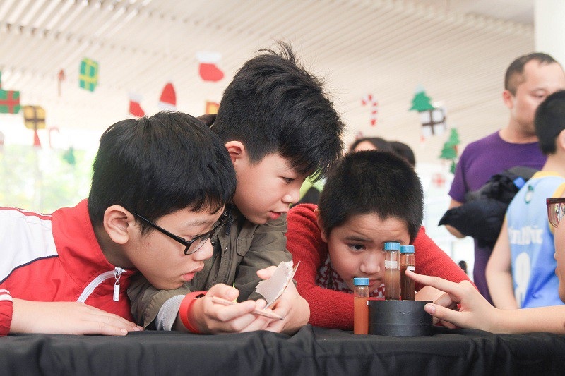 Giáng sinh đầy sắc màu khoa học của học sinh trường Hà Nội - Amsterdam - Ảnh 3.