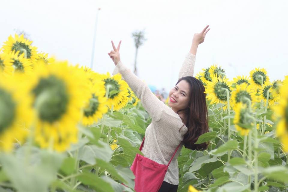 Giới trẻ Sài thành phát cuồng với vườn hoa hướng dương khổng lồ - Ảnh 3. Giới trẻ Sài thành phát cuồng với vườn hoa hướng dương khổng lồ - Ảnh 3.