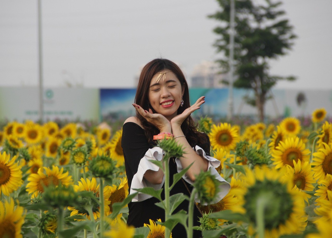 Giới trẻ Sài thành phát cuồng với vườn hoa hướng dương khổng lồ - Ảnh 5. Giới trẻ Sài thành phát cuồng với vườn hoa hướng dương khổng lồ - Ảnh 5.