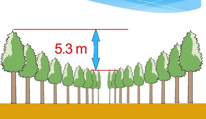 Sau gần nửa thế kỷ, thí nghiệm của người Nhật bỗng hóa “tuyệt tác ngoài hành tinh” - Ảnh 5. Sau gần nửa thế kỷ, thí nghiệm của người Nhật bỗng hóa “tuyệt tác ngoài hành tinh” - Ảnh 5.