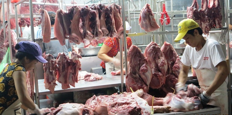 TPHCM sắp có sàn giao dịch heo hơi - Ảnh 2. TPHCM sắp có sàn giao dịch heo hơi - Ảnh 2.