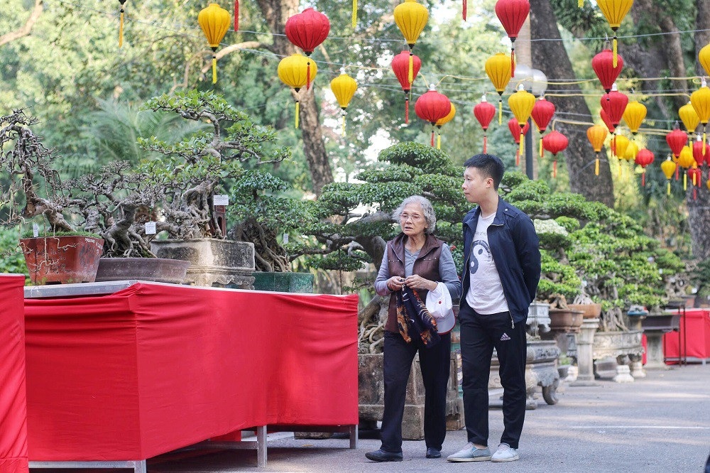 “Kỳ họa, dị thảo” hội tụ ở Hà Nội khiến dân chơi cây cảnh phát sốt - Ảnh 14. “Kỳ họa, dị thảo” hội tụ ở Hà Nội khiến dân chơi cây cảnh phát sốt - Ảnh 14.