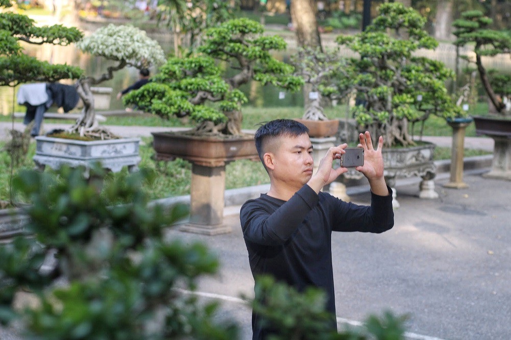 “Kỳ họa, dị thảo” hội tụ ở Hà Nội khiến dân chơi cây cảnh phát sốt - Ảnh 13. “Kỳ họa, dị thảo” hội tụ ở Hà Nội khiến dân chơi cây cảnh phát sốt - Ảnh 13.