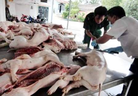 Nghiêm trị sử dụng thuốc trừ sâu quá mức trong nông sản - Ảnh 2.