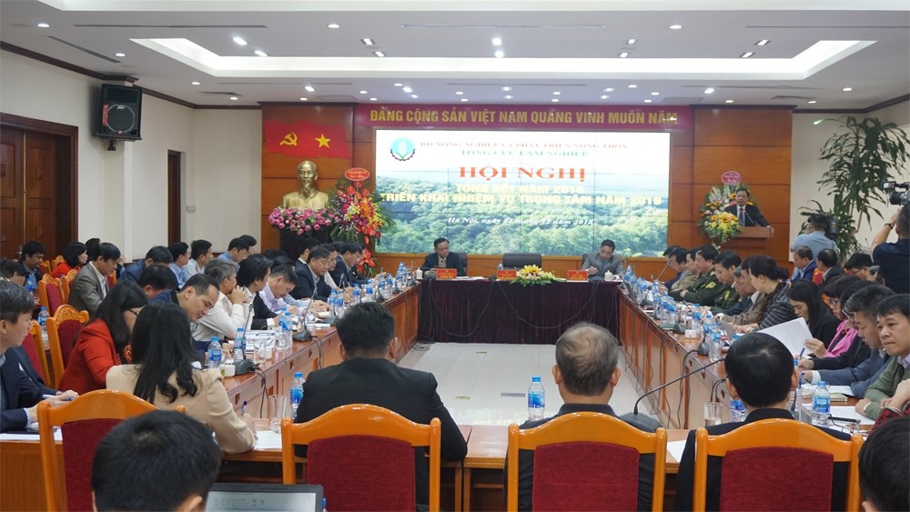 Bộ trưởng Nông nghiệp: Cần mạnh tay hơn nữa với nạn phá rừng! - Ảnh 1. Bộ trưởng Nông nghiệp: Cần mạnh tay hơn nữa với nạn phá rừng! - Ảnh 1.