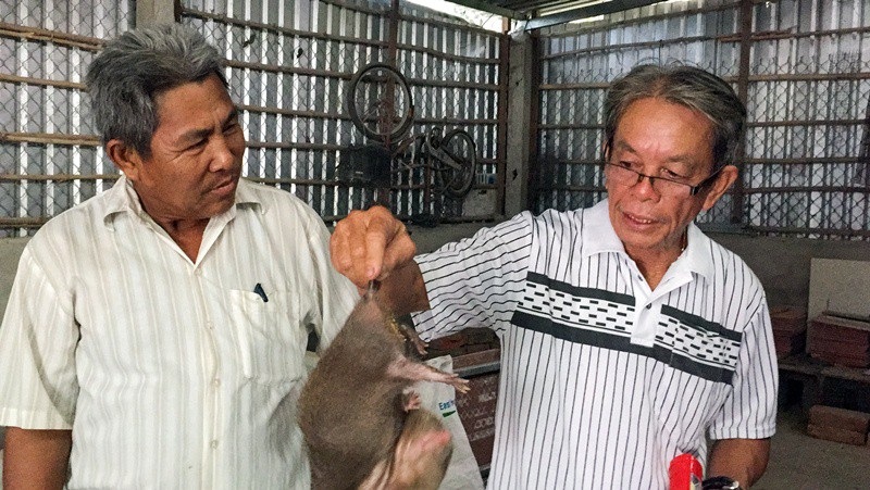 Nông dân kiếm 30 triệu đồng/tháng nhờ ...nuôi dúi và trồng nha đam - Ảnh 6. Nông dân kiếm 30 triệu đồng/tháng nhờ ...nuôi dúi và trồng nha đam - Ảnh 6.