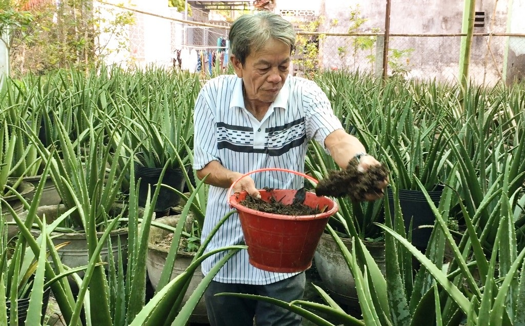 Nông dân kiếm 30 triệu đồng/tháng nhờ ...nuôi dúi và trồng nha đam - Ảnh 7. Nông dân kiếm 30 triệu đồng/tháng nhờ ...nuôi dúi và trồng nha đam - Ảnh 7.