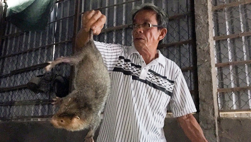 Nông dân kiếm 30 triệu đồng/tháng nhờ ...nuôi dúi và trồng nha đam - Ảnh 1. Nông dân kiếm 30 triệu đồng/tháng nhờ ...nuôi dúi và trồng nha đam - Ảnh 1.