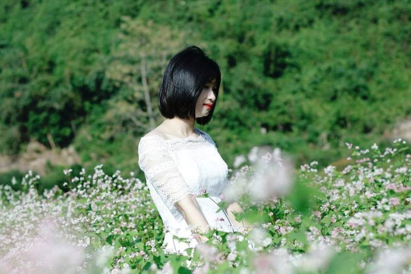“Lạc trôi” giữa vườn tam giác mạch khoe sắc ở di sản Tràng An - Ảnh 11. “Lạc trôi” giữa vườn tam giác mạch khoe sắc ở di sản Tràng An - Ảnh 11.