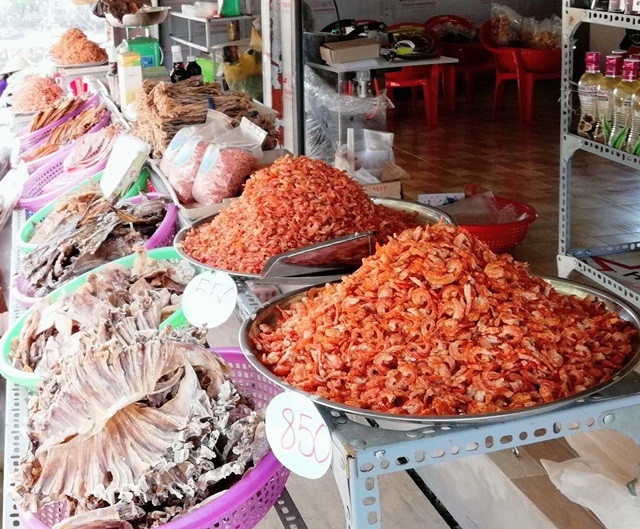 Mở tuyến tham quan xuyên rừng Vườn Quốc gia Mũi Cà Mau - Ảnh 11. Mở tuyến tham quan xuyên rừng Vườn Quốc gia Mũi Cà Mau - Ảnh 11.