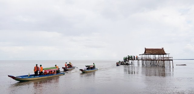 Mở tuyến tham quan xuyên rừng Vườn Quốc gia Mũi Cà Mau - Ảnh 7. Mở tuyến tham quan xuyên rừng Vườn Quốc gia Mũi Cà Mau - Ảnh 7.
