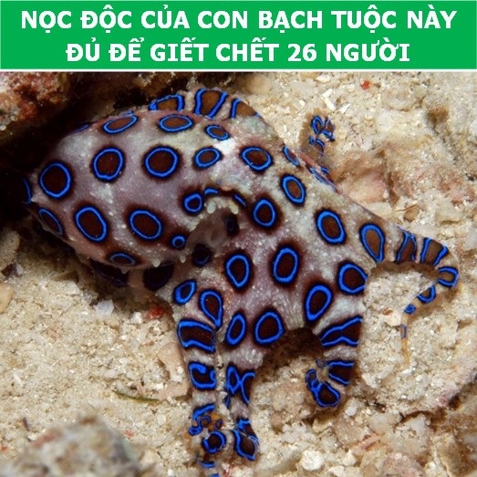 Những kiến thức khoa học có thể cứu sống bạn vào một ngày nào đó - Ảnh 1. Những kiến thức khoa học có thể cứu sống bạn vào một ngày nào đó - Ảnh 1.