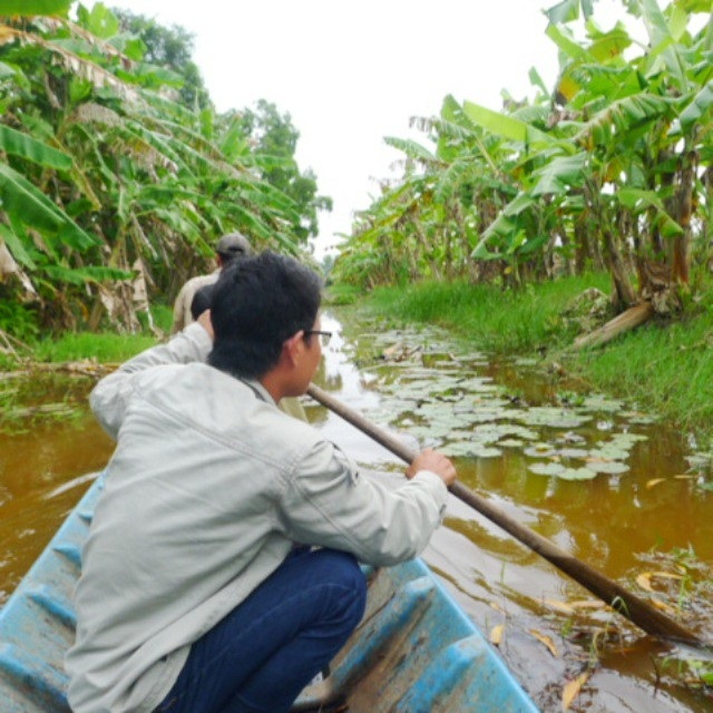 Về Cà Mau trải nghiệm tour khám phá cực Nam Tổ quốc - Ảnh 1. Về Cà Mau trải nghiệm tour khám phá cực Nam Tổ quốc - Ảnh 1.