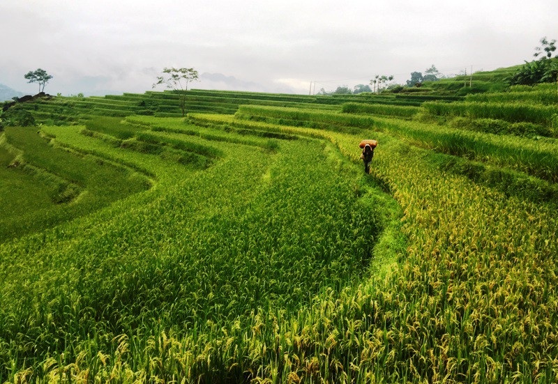 Thanh Hoá: Đầu tư hơn 25 nghìn tỷ đồng phát triển du lịch - Ảnh 2. Thanh Hoá: Đầu tư hơn 25 nghìn tỷ đồng phát triển du lịch - Ảnh 2.