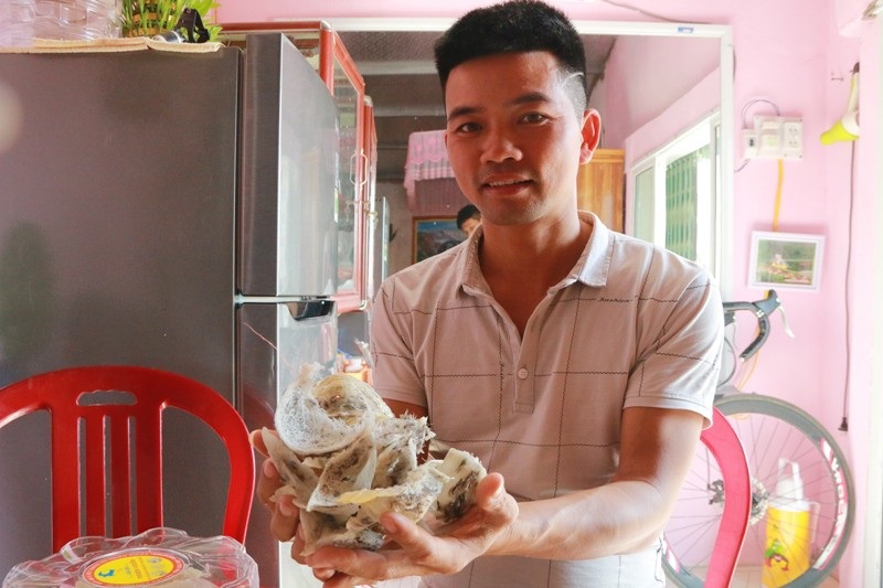 Nghề lạ: xây nhà cho chim trời “ở trọ” thu chục triệu đồng mỗi tháng - Ảnh 5. Nghề lạ: xây nhà cho chim trời “ở trọ” thu chục triệu đồng mỗi tháng - Ảnh 5.