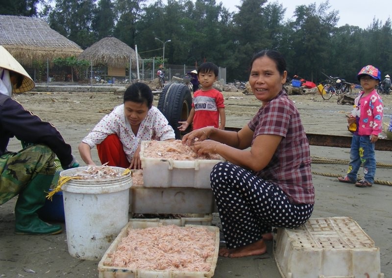 Cuối năm, ngư dân xứ Thanh trúng đậm mùa moi biển - Ảnh 6. Cuối năm, ngư dân xứ Thanh trúng đậm mùa moi biển - Ảnh 6.