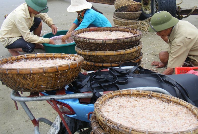 Cuối năm, ngư dân xứ Thanh trúng đậm mùa moi biển - Ảnh 7. Cuối năm, ngư dân xứ Thanh trúng đậm mùa moi biển - Ảnh 7.