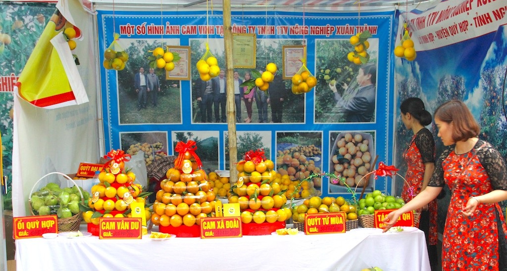 Nghệ An: Hội chợ cam Vinh 2018 - Ảnh 6. Nghệ An: Hội chợ cam Vinh 2018 - Ảnh 6.