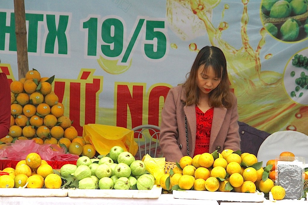 Nghệ An: Hội chợ cam Vinh 2018 - Ảnh 9. Nghệ An: Hội chợ cam Vinh 2018 - Ảnh 9.