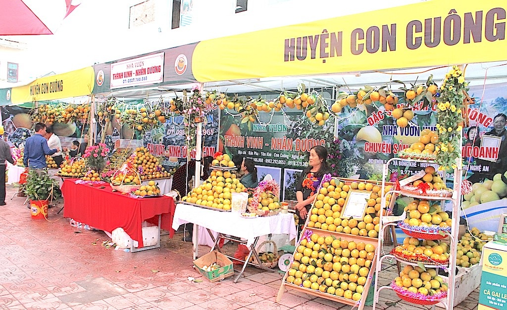 Nghệ An: Hội chợ cam Vinh 2018 - Ảnh 12. Nghệ An: Hội chợ cam Vinh 2018 - Ảnh 12.