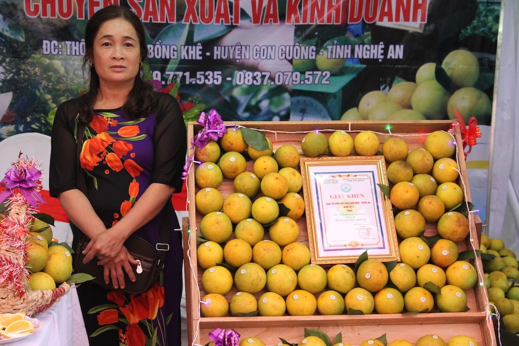 Nghệ An: Hội chợ cam Vinh 2018 - Ảnh 13. Nghệ An: Hội chợ cam Vinh 2018 - Ảnh 13.