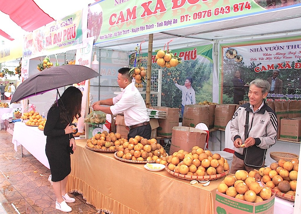 Nghệ An: Hội chợ cam Vinh 2018 - Ảnh 15. Nghệ An: Hội chợ cam Vinh 2018 - Ảnh 15.