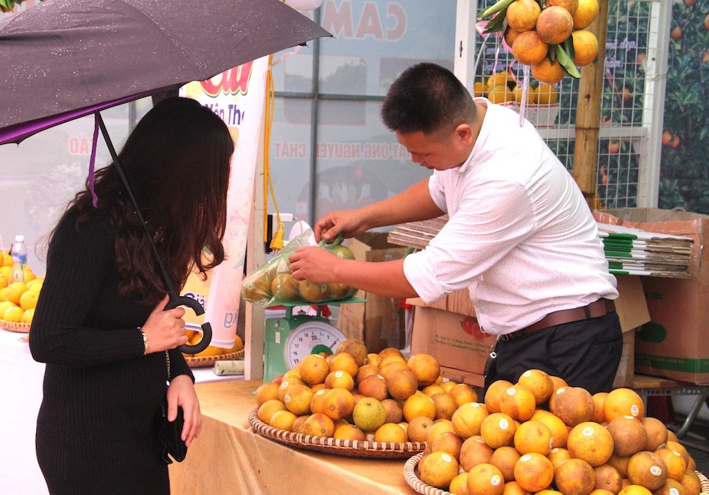 Nghệ An: Hội chợ cam Vinh 2018 - Ảnh 16. Nghệ An: Hội chợ cam Vinh 2018 - Ảnh 16.