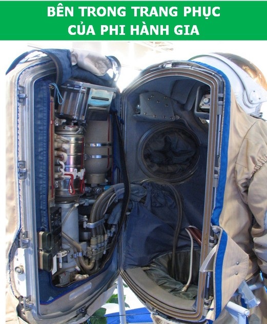 Những bức ảnh sẽ giúp bạn có thêm niềm cảm hứng với khoa học! - Ảnh 1. Những bức ảnh sẽ giúp bạn có thêm niềm cảm hứng với khoa học! - Ảnh 1.