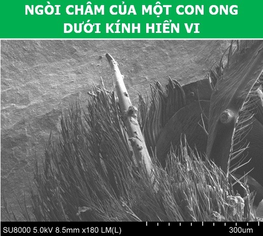 Những bức ảnh sẽ giúp bạn có thêm niềm cảm hứng với khoa học! - Ảnh 2. Những bức ảnh sẽ giúp bạn có thêm niềm cảm hứng với khoa học! - Ảnh 2.