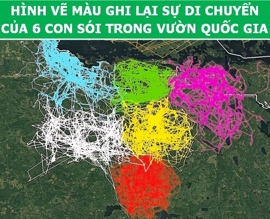 Những bức ảnh sẽ giúp bạn có thêm niềm cảm hứng với khoa học! - Ảnh 4. Những bức ảnh sẽ giúp bạn có thêm niềm cảm hứng với khoa học! - Ảnh 4.