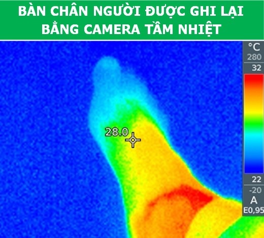 Những bức ảnh sẽ giúp bạn có thêm niềm cảm hứng với khoa học! - Ảnh 7. Những bức ảnh sẽ giúp bạn có thêm niềm cảm hứng với khoa học! - Ảnh 7.