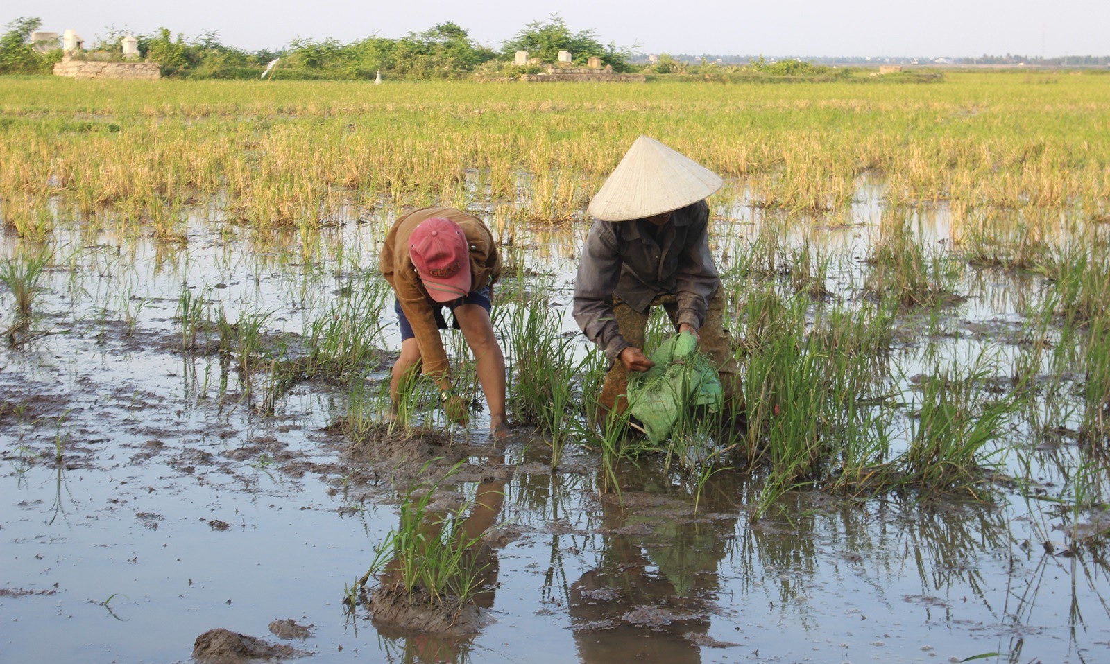 Quá nghèo, người phụ nữ đành nhìn con nuôi bỏ nhà ra đi - Ảnh 6.