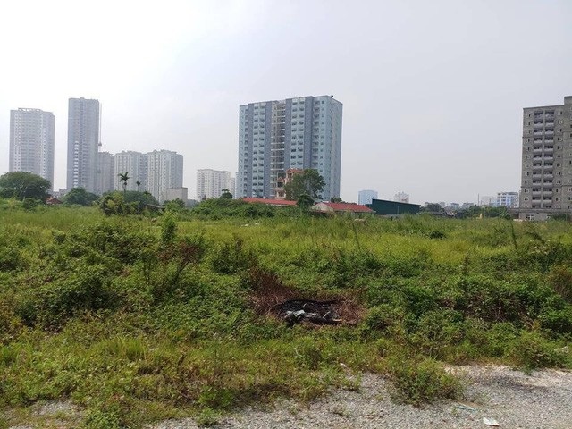 Góc nhìn chuyên gia: Đất vàng bỏ hoang gây lãng phí, sau thu hồi nên làm gì? - Ảnh 1. Góc nhìn chuyên gia: Đất vàng bỏ hoang gây lãng phí, sau thu hồi nên làm gì? - Ảnh 1.