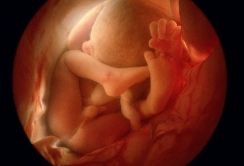 Em bé lớn lên trong bụng mẹ như thế nào? | Báo Dân trí