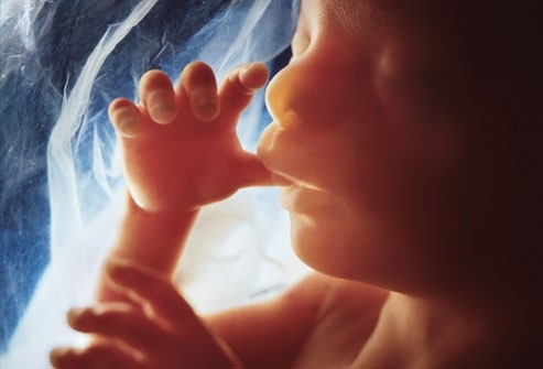 Em bé lớn lên trong bụng mẹ như thế nào? - 6 Em bé lớn lên trong bụng mẹ như thế nào? - 6