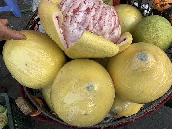 Bưởi Trung Quốc khổng lồ, vỏ vàng bóng tràn về chợ Việt - 1
Việt Nam vào mùa cam, bưởi nhưng bưởi Trung Quốc vẫn tràn sang