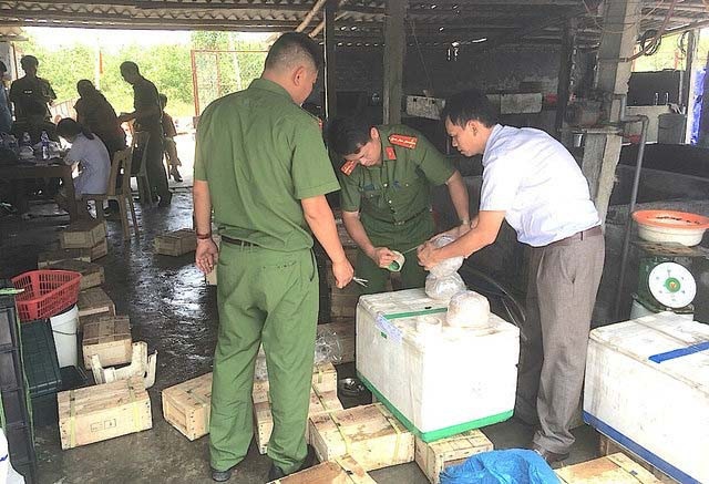 Khó xử lý hình sự các vụ việc vi phạm an toàn vệ sinh thực phẩm - 1 Cảnh sát môi trường Công an tỉnh Nghệ An bắt vụ 3,5 tấn sứa ngâm hóa chất tại huyện Diễn Châu.