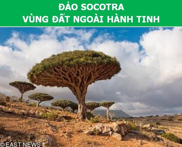 Điểm danh những hòn đảo đặc biệt và bí ẩn nhất thế giới (P2) - 2 Điểm danh những hòn đảo đặc biệt và bí ẩn nhất thế giới (P2) - 2