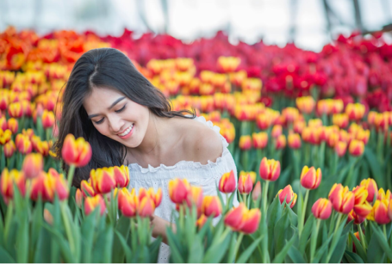 Festive Wonderland – Lễ hội thần tiên tại xứ sở Vinpearl Land - 3
Du khách mê mẩn lạc bước trong 100.000 đóa hoa tuylip rực rỡ