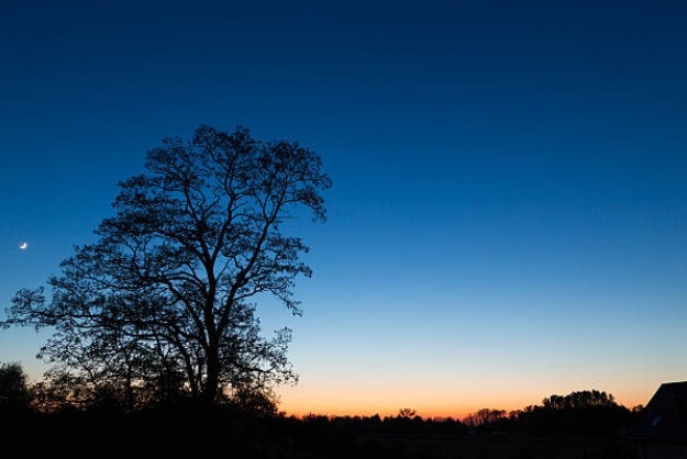 Người nhà quê - 1