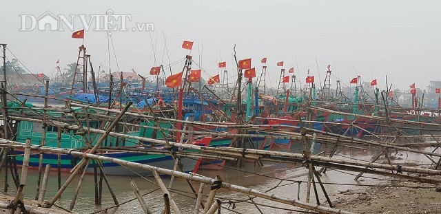 Sắp đến Tết, ngư dân miền biển vẫn ra khơi "săn" hải sản cuối năm - 8 Sắp đến Tết, ngư dân miền biển vẫn ra khơi "săn" hải sản cuối năm - 8