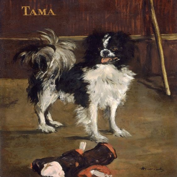 Bức “Tama, chú chó Nhật” (1875) thực hiện bởi họa sĩ người Pháp Édouard Manet hiện đang trưng bày tại bảo tàng nghệ thuật National Gallery of Art, Washington DC, Mỹ.